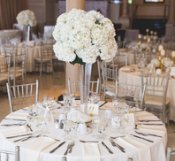 ShengYuPro x LaVieFac