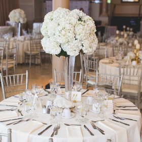 ShengYuPro x LaVieFac