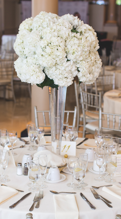 ShengYuPro x LaVieFac