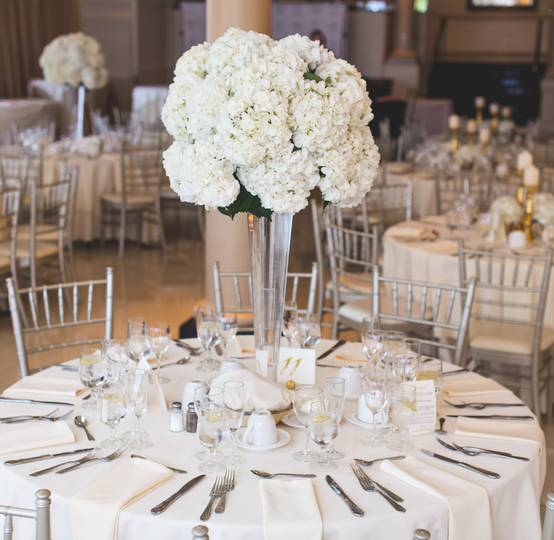 ShengYuPro x LaVieFac